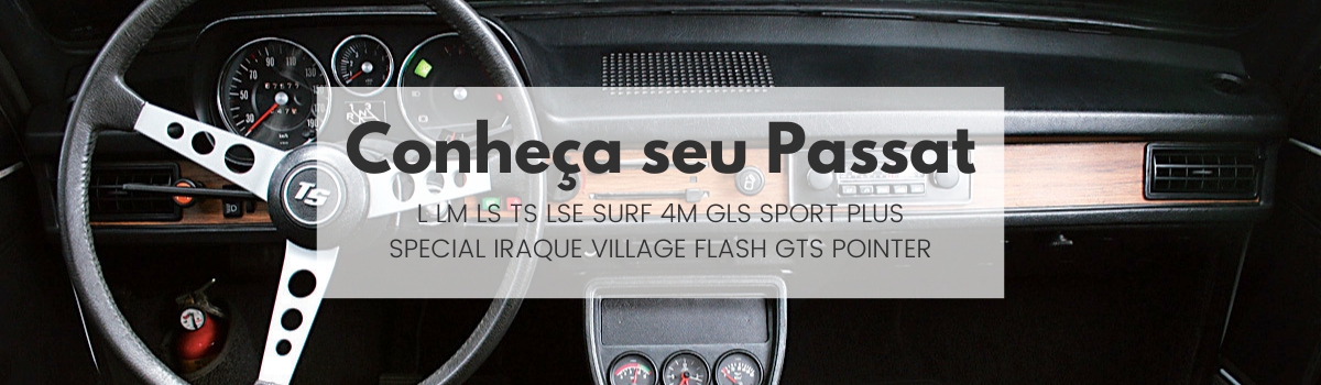 Quais vers&otilde;es de Volkswagen Passat 1973 &agrave; 1988 Pointer existiram?